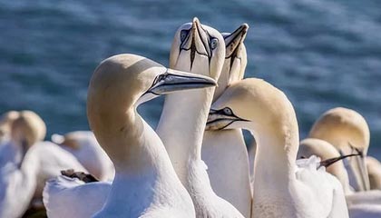 礼品卡回收心法：让每一份心意都物有所值