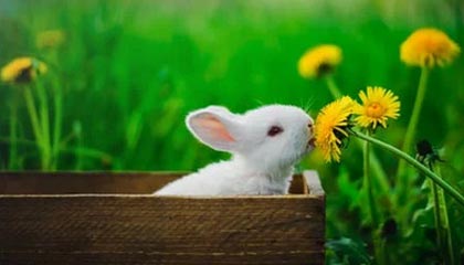 沃尔玛购物卡券回收策略：全球零售巨头卡券如何高效处理？